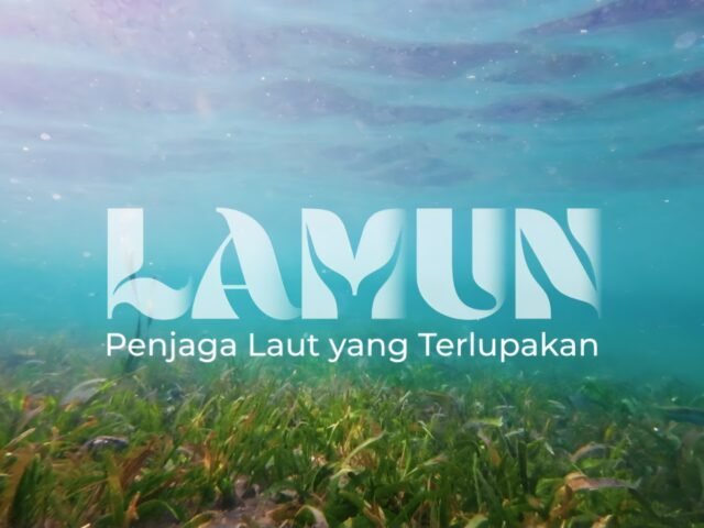 Tampilan depan film dokumenter Lamun: Penjaga Laut yang Terlupakan. | Sumber Istimewa