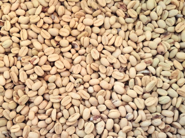 Bijian Kopi | Dormaulina Sitanggang
