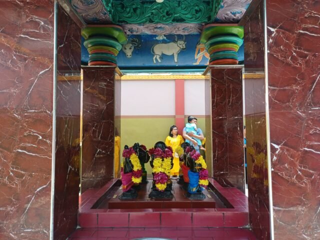 TRI | Dalam bahasa sansekerta, Tri memiliki arti tiga. Tampak tiga patung dan keluarga kecil turut khidmat dalam perayaan Thaipusam, Minggu (1/2/2026). | Dinar Fazira Fitri