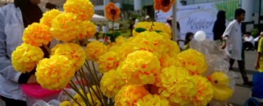 Bunga Cerah | Hasrina Arum Maulida
